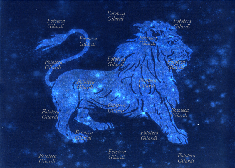 ZODIACO il Leone è il quinto segno zodiacale dell\