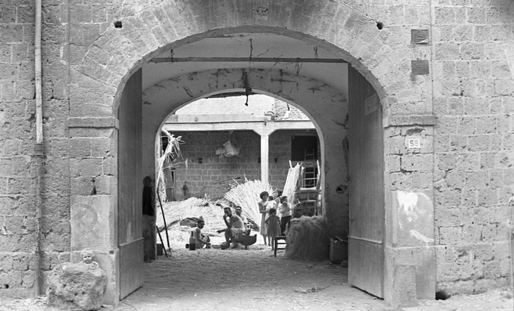 LAVORAZIONE DELLA CANAPA LE VIVANDIERE LAVORAZIONE DELLA CANAPA LE VIVANDIERE