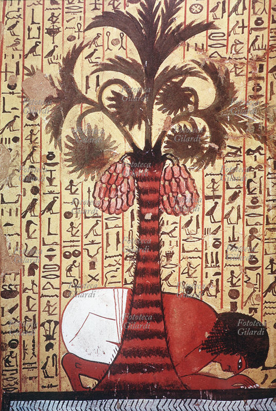 ANTICO EGITTO Pittura dalla Tomba di Pashedu Dier-el-Medineh XX dinastia. Dettaglio. Il defunto sotto una Palma carica di frutti, beve l\