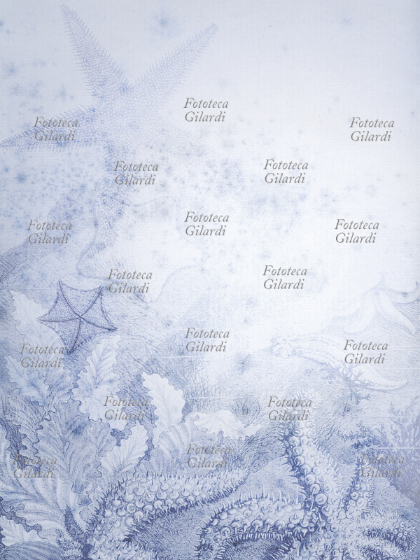 CARTA sfondo decorato a tema fondale marino - decorazione vintage. Computer Art Elena Piccini, 2010