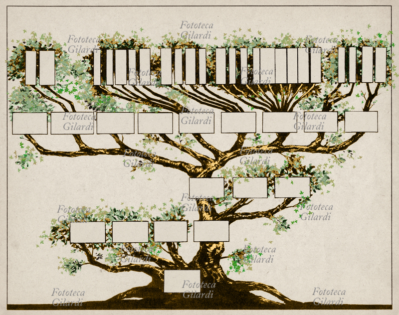 GENEALOGIA - Albero genealogico muto, XX secolo