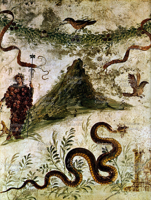 ANTICA ROMA Gli antichi romani erano molto superstiziosi e credevano in vari presagi: vedere un serpente era per loro di buon auspicio; prima di intraprendere una qualsiasi iniziativa interpretavano il volo degli uccelli (al quale erano addetti i sacerdoti àuguri). Questi e altri simboli, come Bacco alle falde del Vesuvio appaiono in questo affresco pompeiano.