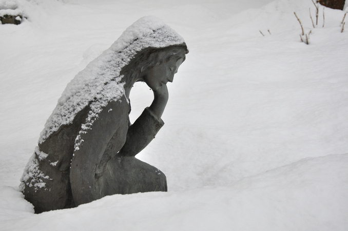 MALINCONIA DELLA NEVE MALINCONIA DELLA NEVE