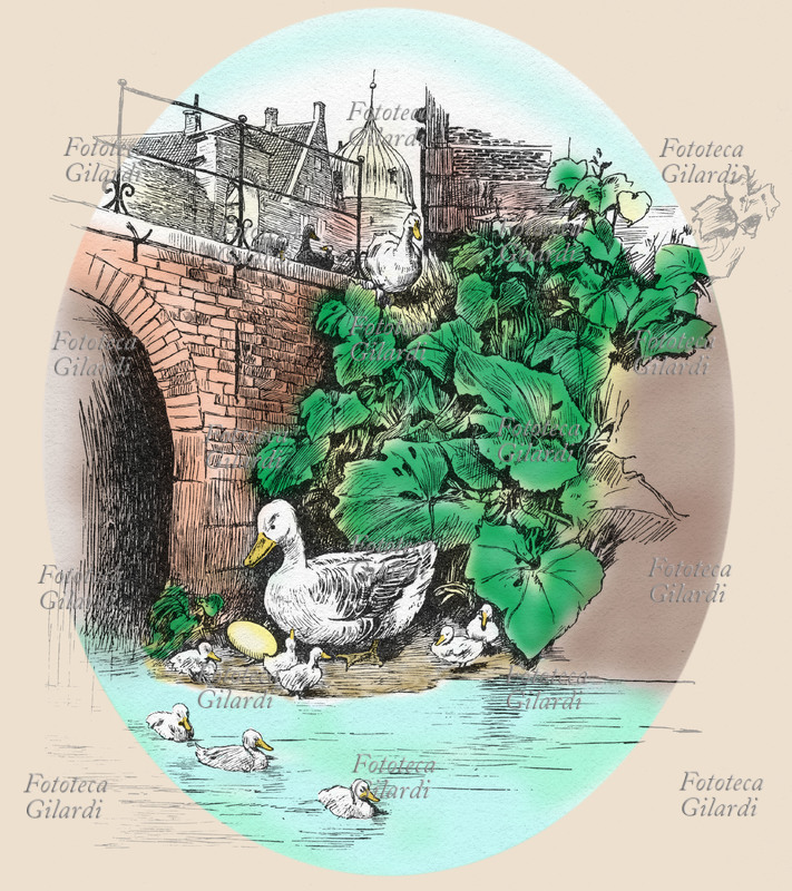 Hans Christian ANDERSEN (2 aprile 1805 – 4 agosto 1875) Mamma anatra guarda perplessa l\