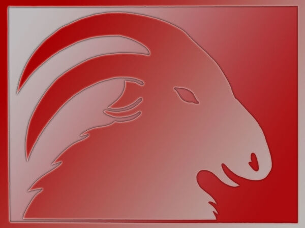 SEGNO ZODIACALE DEL CAPRICORNO SEGNO ZODIACALE DEL CAPRICORNO
