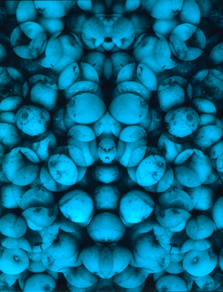 COLOR G EVA E LA MELA