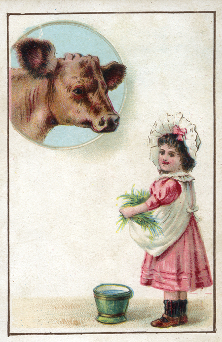 LITTLE GIRL WITH COW