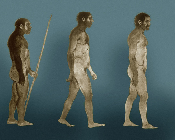 UOMINI PRIMITIVI UOMINI PRIMITIVI