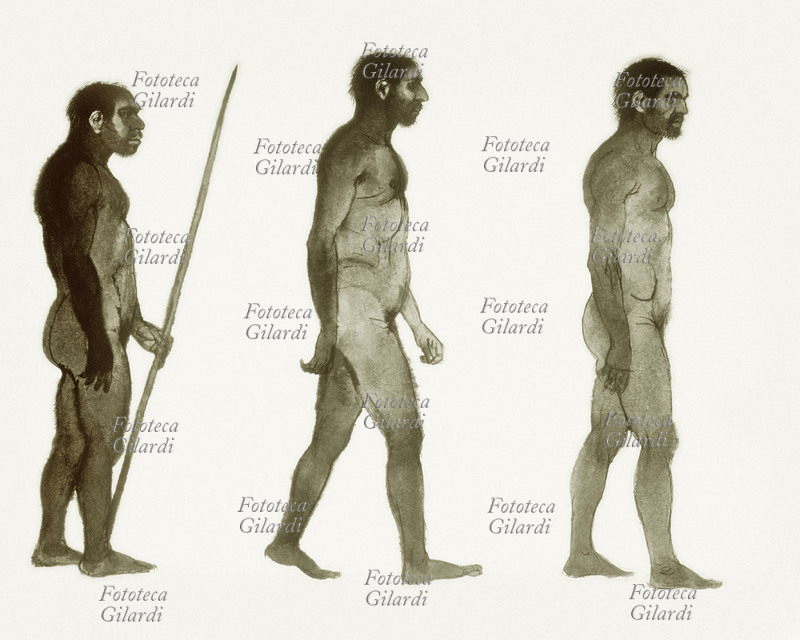 PREISTORIA Ricostruzione dell\