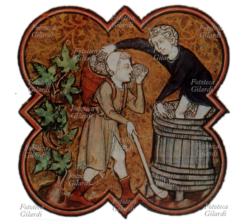 VINO pigiatura dell\