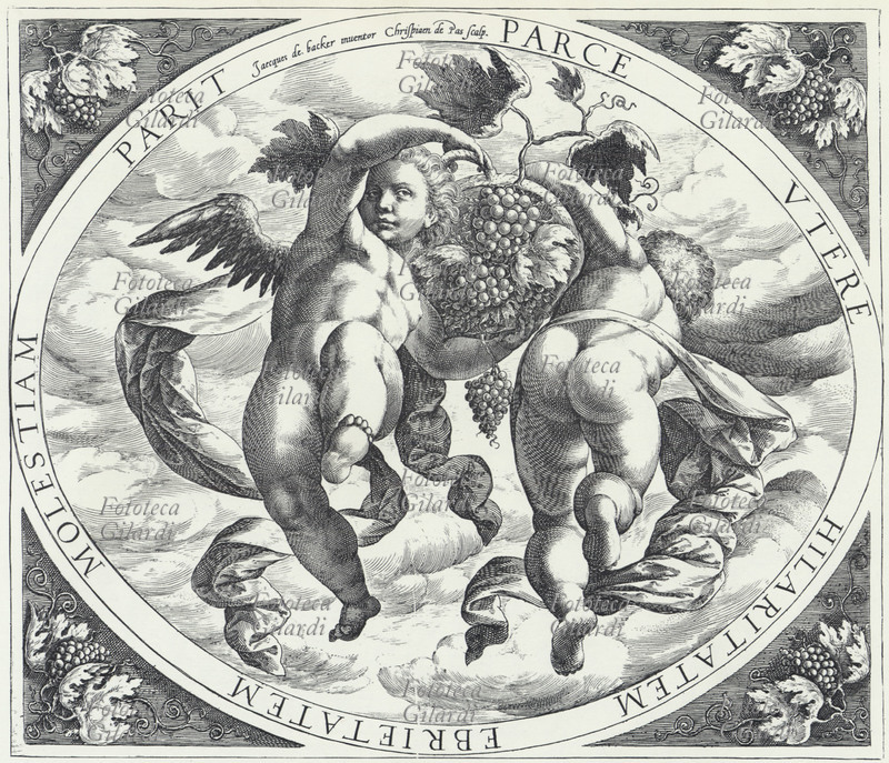 VINO Incisione allegorica \