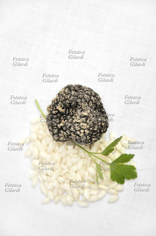 TARTUFO NERO, riso crudo, prezzemolo - raccolto in Piemonte, zona Langhe - Monferrato - fungo ascomicete commestibile a forma di tubero, molto ricercato in gastronomia per il suo particolare aroma. Fotografia Patrizia Piccini 2010