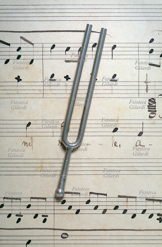 MUSICA Diapason - Le lamelle percosse emettono la nota LA della frequenza di 440 Hertz, corrispondente al La della quarta ottava del pianoforte, fotografia di Elena Piccini 2011