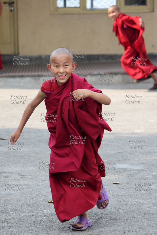 NEPAL Bodhnath. Un giovanissimo monaco tibetano, all\