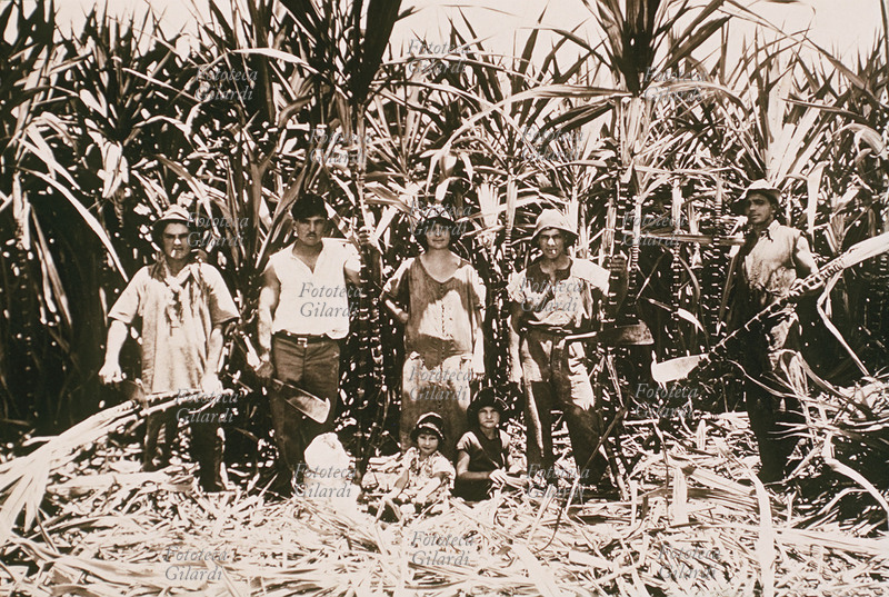 EMIGRAZIONE Braccianti italiani nelle piantagioni di canna da zucchero in Australia. Fotografia dei primi anni del XX secolo.