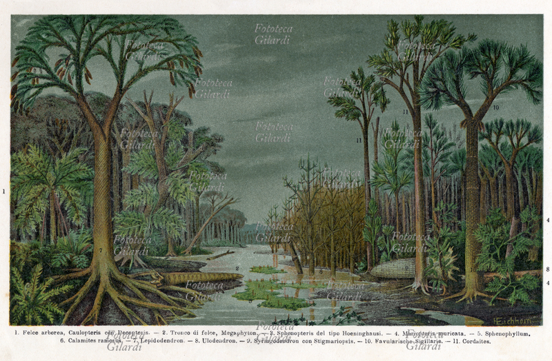 PREISTORIA Paesaggio, periodo geologico dell\