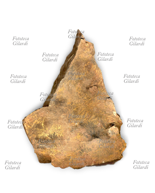 FOSSILI Piccola pietra a componente ferrosa, riportante formazioni arborizzate, interpretate come licheni fossili; reperto pietrificato rinvenuto in zona prealpina della regione Lombardia, Italia s.d.