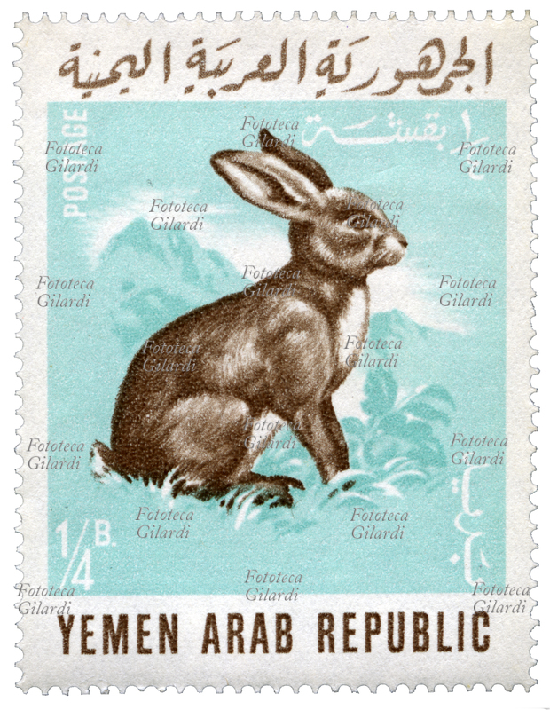 FRANCOBOLLO Coniglio (Oryctolagus cuniculus). Esemplare della serie "Animali domestici" emessa dalle poste yemenite. Valore nominale ¼ buqsha, fotoincisione. Repubblica Araba dello Yemen, emissione del 6 maggio 1966