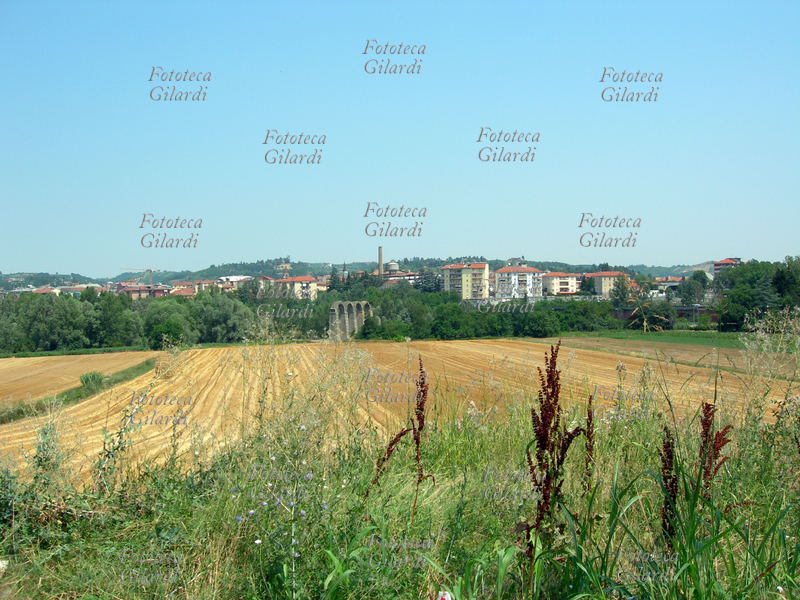 ACQUI TERME panorama della città sullo sfondo di un campo di foraggio. In primo piano i resti degli archi romani. Fotografia di Patrizia Piccini, 2006