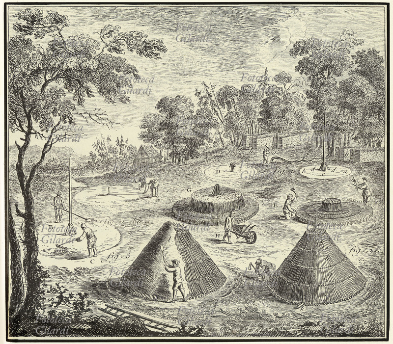 CARBONE Fabbricazione del carbone di legna. Tavola da \