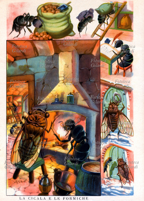 AESOP (6th century BC?) The grasshopper and the ants. Illustration by Giacinto Galbiati (17 November 1908 - 1992) for a children\