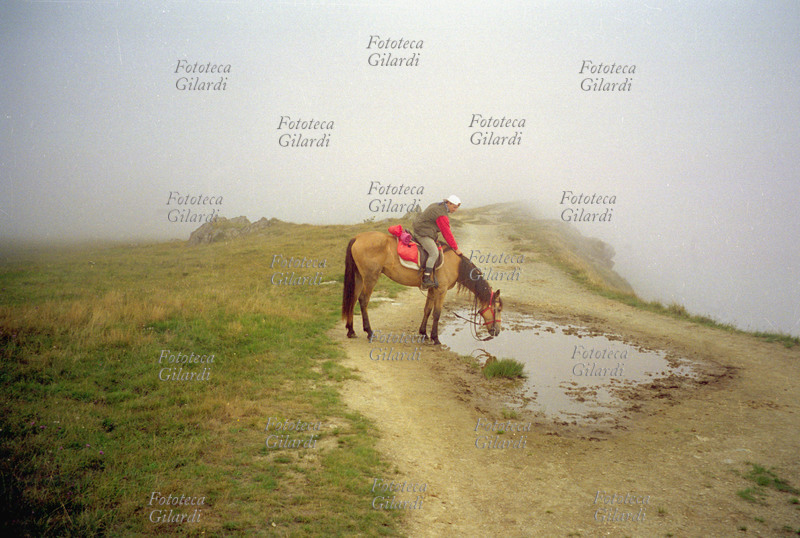 CAVALLO trekking. Abbeverata nella nebbia, momento di pausa. Escursione sulla Alta Via dei Monti Liguri: tratto dal monte Beigua verso Passo del Faiallo. Fotografia di Patrizia Piccini, Italia agosto 1999.