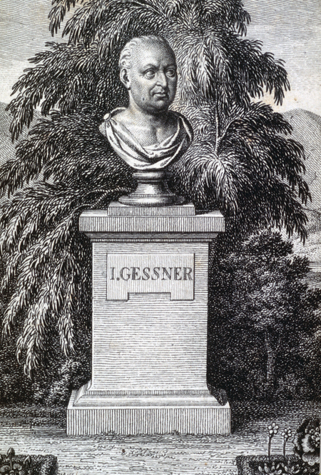 BUSTO DI JOHANN GESSNER