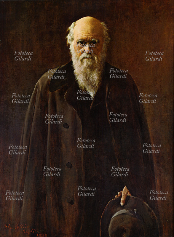 Charles DARWIN (12 febbraio 1809 – 19 aprile 1882), biologo, naturalista, geologo ed esploratore britannico. Ritratto eseguito da John Collier (27 gennaio 1850 – 11 aprile 1934), Regno Unito 1883.