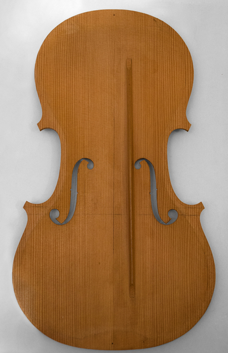 TAVOLA ARMONICA DI UN VIOLINO TAVOLA ARMONICA DI UN VIOLINO