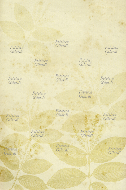 CARTA vintage Foglio decorato con composizione di stampa con foglie. Computer Art Elena Piccini, 2010