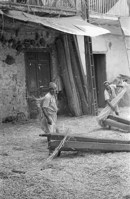LAVORAZIONE DELLA CANAPA BRACCIANTI ALLE MACENNELE LAVORAZIONE DELLA CANAPA BRACCIANTI ALLE MACENNELE