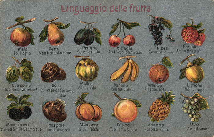 LINGUAGGIO DELLA FRUTTA
