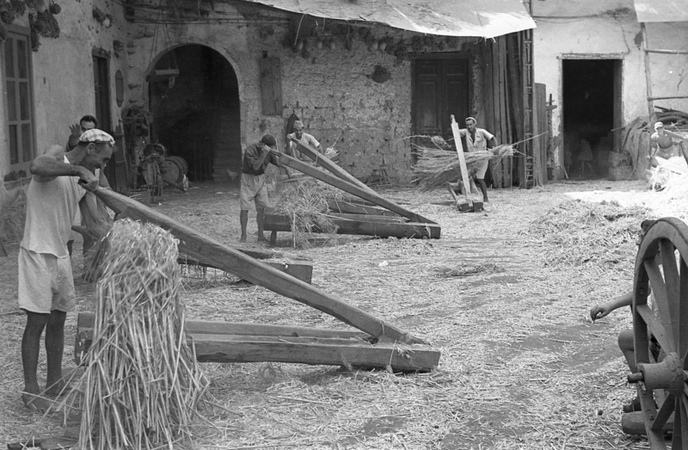 LAVORAZIONE DELLA CANAPA LA PARANZA IN AZIONE LAVORAZIONE DELLA CANAPA LA PARANZA IN AZIONE