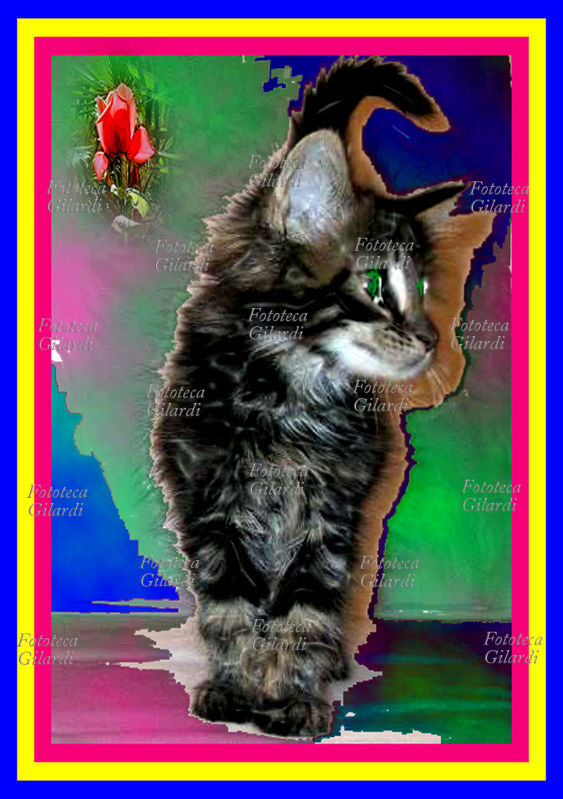 Ando GILARDI (1921 - 2012) Cucciolo di stregatto. (Gattino Divo3A) Opera digitale, dalla serie \