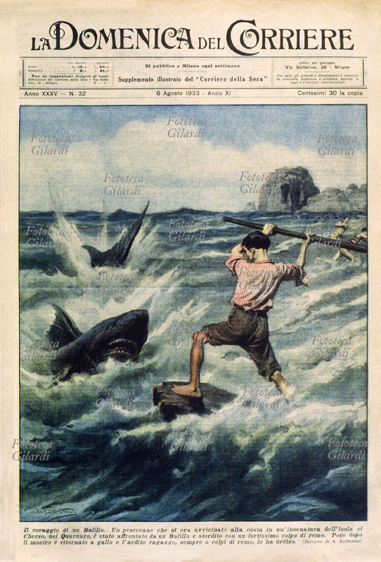 CRONACA "Il coraggio di un Balilla. Un pescecane che si era avvicinato alla costa in un\