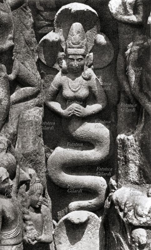 INDIA representing sculpture Nagini, feminine figure Naga, ancient race of present man-snake in vedica induista mythology and the going back oral tradition to V the millenium a.C.; history of Naga take part of current the popular tradition of various regions to Hindu predominanza (India, Nepal, Bali) and buddhista (Sri Lanka, Asian South-East).
