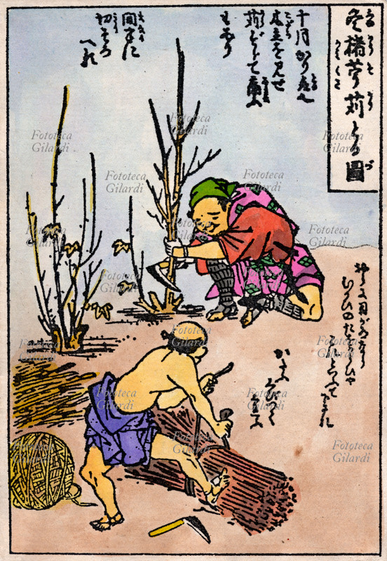 CARTA La raccolta dei rami di gelso papirifero è la prima fase necessaria per iniziare il procedimento di produzione della carta. Incisione di Tokei Yamichnan tratta dal testo del giapponese Jibei Kumihigashi: \