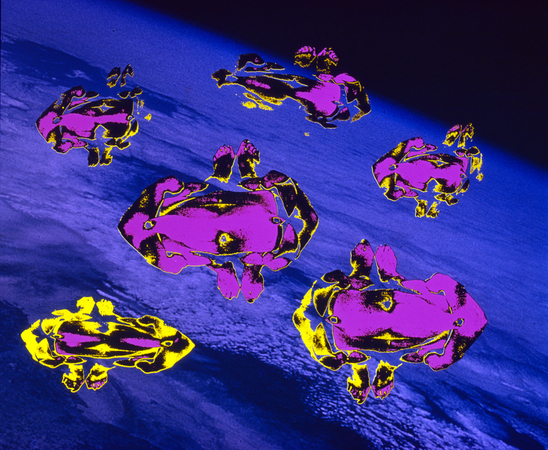 COLOR G R COME ANDROMEDA