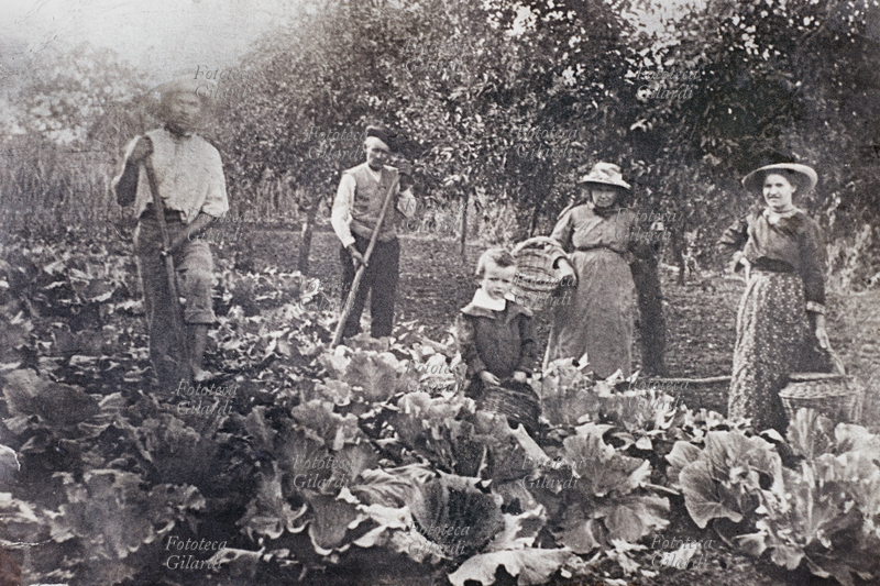 CONTADINI famigliola al lavoro nell\