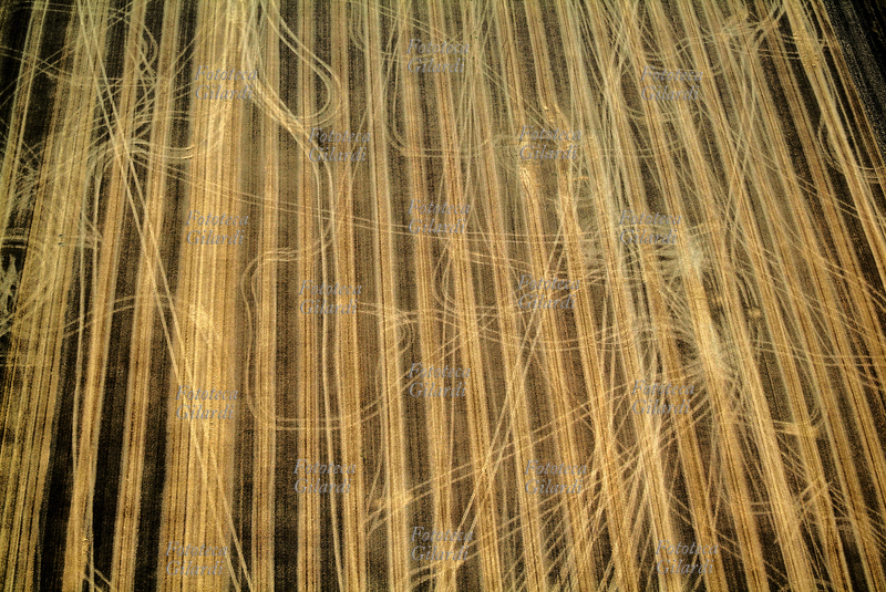 METHOD IN HIS MADNESS (C\