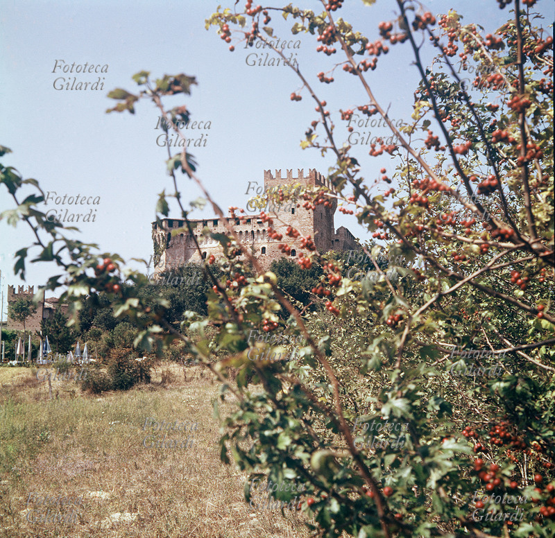 View of the Castle of Gradara the Fortress is half-hidden from the vegetation of the place. The tower and the perimetrali walls of the rocca are decorated with merlons to swallow tail, typical architectonic elements of the medioevali defensive constructions.
