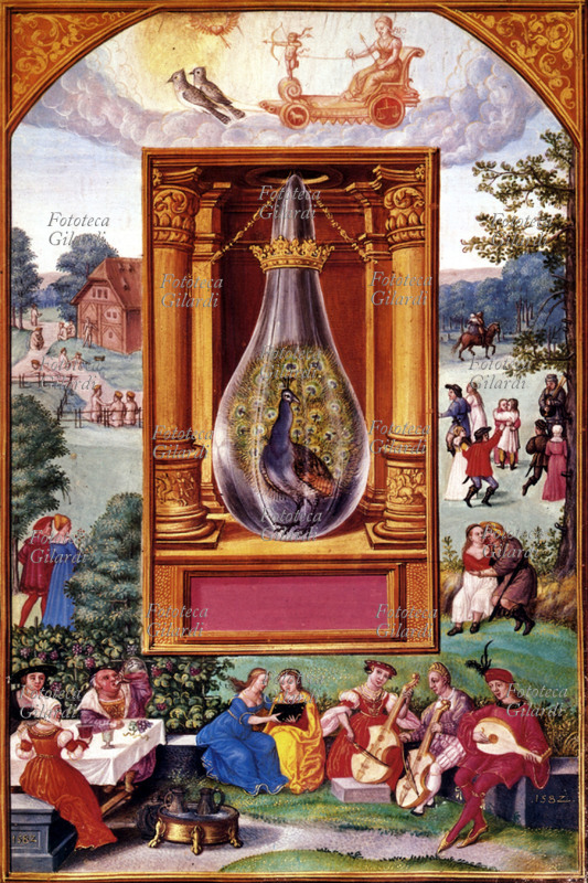 ALCHIMIA Il pavone all\