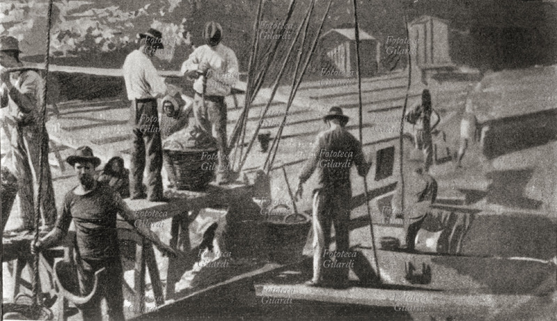 STORIA DEL MOVIMENTO OPERAIO I camalli, lavoratori addetti al carico e allo scarico delle merci sulle navi nel porto di Genova, all\