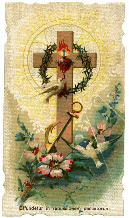 EFFUNDETUR IN REMISSIONEM PECCATORUM EFFUNDETUR IN REMISSIONEM PECCATORUM