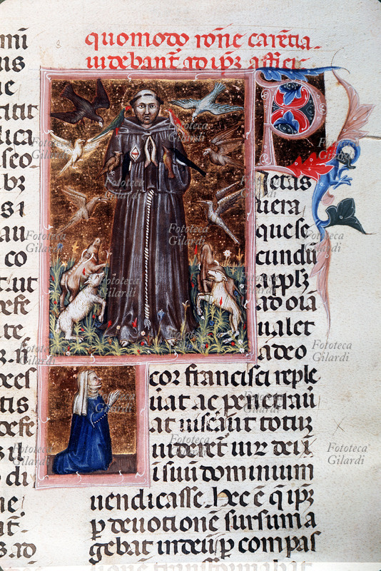 San FRANCESCO d\
