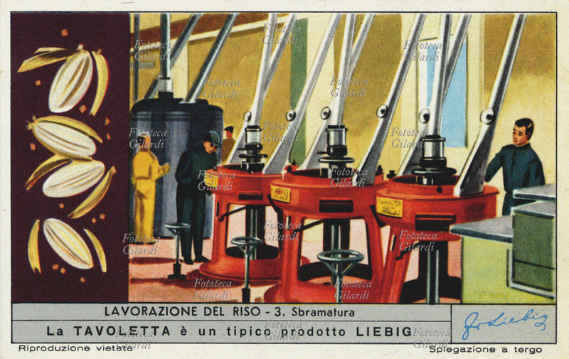 RISO Sbramatura: il risone, prima di passare al consumo, deve essere lavorato; deve cioè venir privato delle glumelle e del pericarpo finché non appaia bianco. La macchina che esegue l\