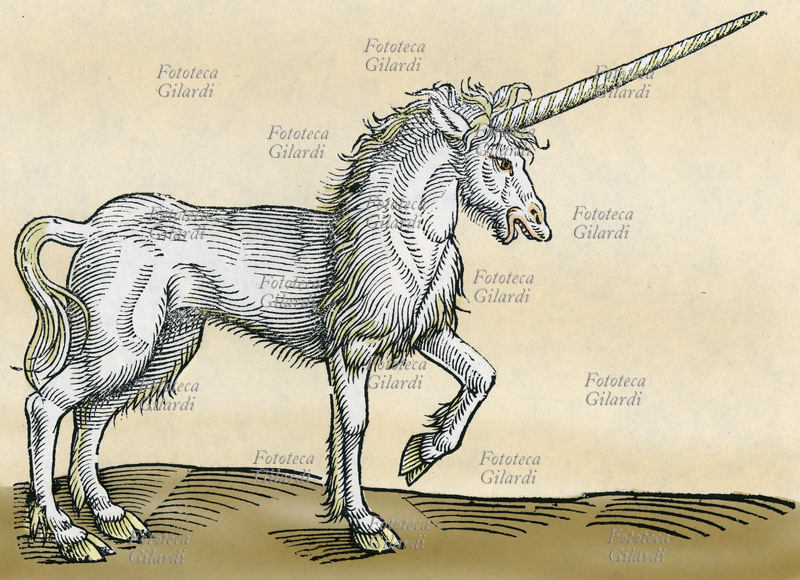 UNICORN from the Natural History treatise by Konrad Gesner and Edward Topsell, 17th-century woodcut
