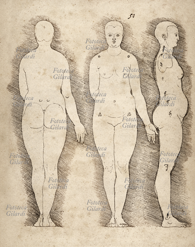 Albrecht DURER Traccia di un corpo umano femminile di costituzione robusta. Tavola delle serie sugli studi delle proporzioni del corpo umano. XVI secolo