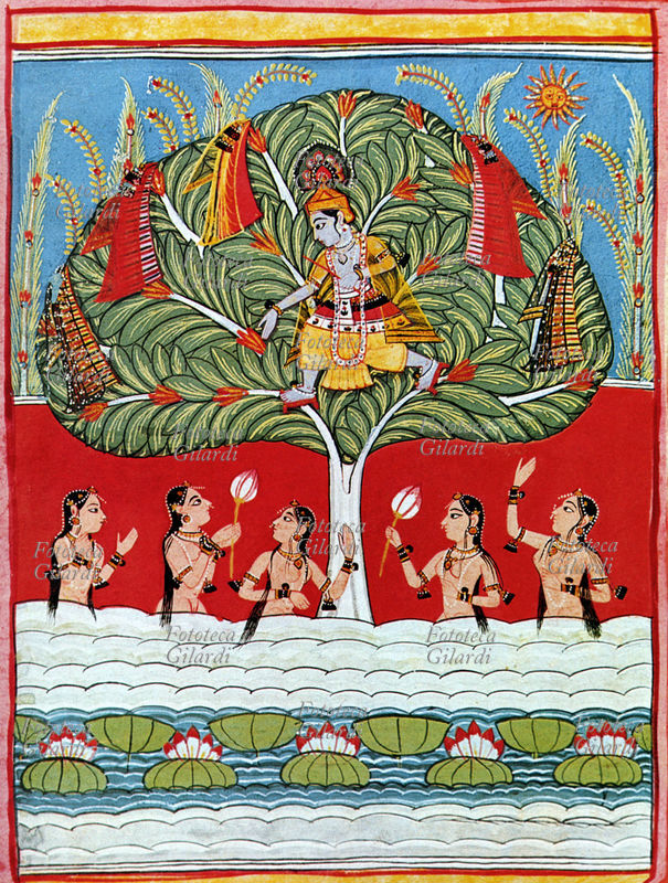 INDIA a man observes, from_above a tree, a group of children who take a bath in a small lake of ninfee. Indiana miniature, s.d.