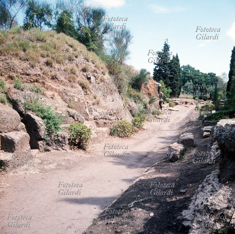 ETRUSCHI Cerveteri, necropoli etrusca. La necropoli di Cerveteri, detta della Banditaccia, che si snoda ininterrottamente per più di 2 chilometri ai lati di una via sepolcrale, è sicuramente la più importante necropoli di tutta l\